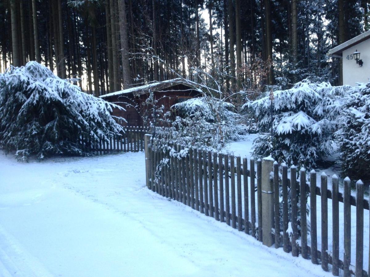 Willa Hundeurlaub Im Tiny House Im Wald Tanna Zewnętrze zdjęcie